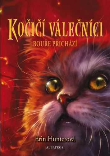 Kočičí válečníci (4) - Bouře přichází - Erin Hunterová - e-kniha