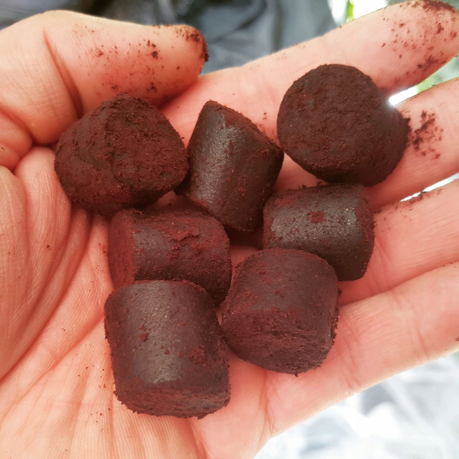 Genesis Carp Pellet Blood Halibut Sumec/kapr 30mm 5kg.