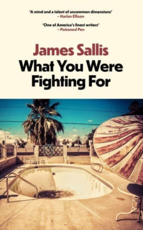 What You Were Fighting For - James Sallis