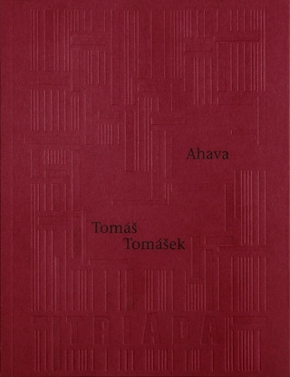 Ahava - Tomáš Tomášek - e-kniha