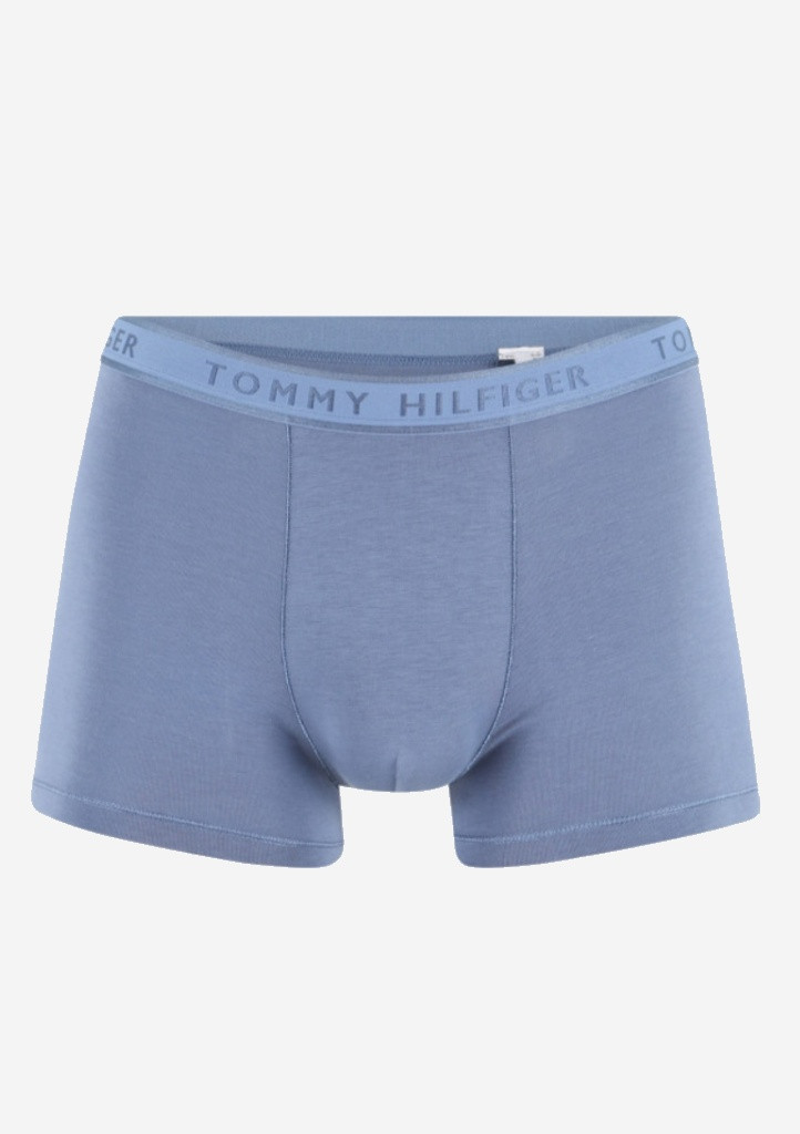 Pánské boxerky Tommy Hilfiger UM0UM02333