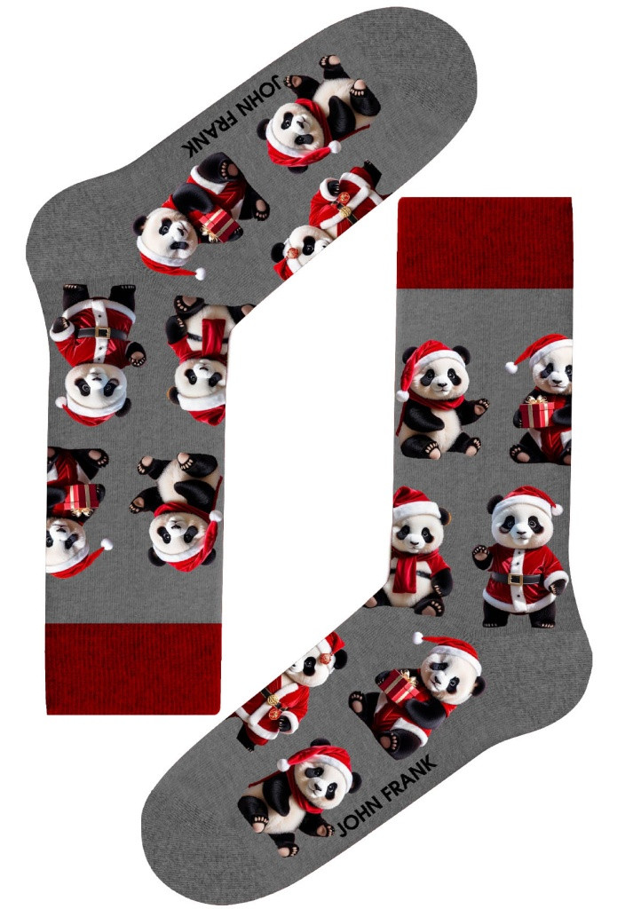 Dámské ponožky John Frank WJFLSFUN-CH63