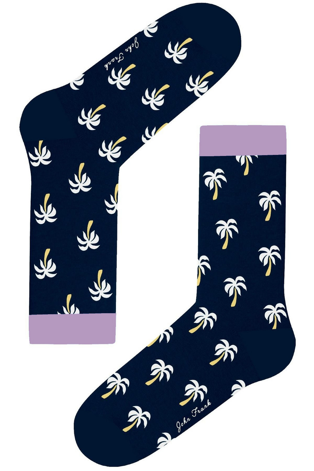 Dámské ponožky John Frank WJFLSFUN62