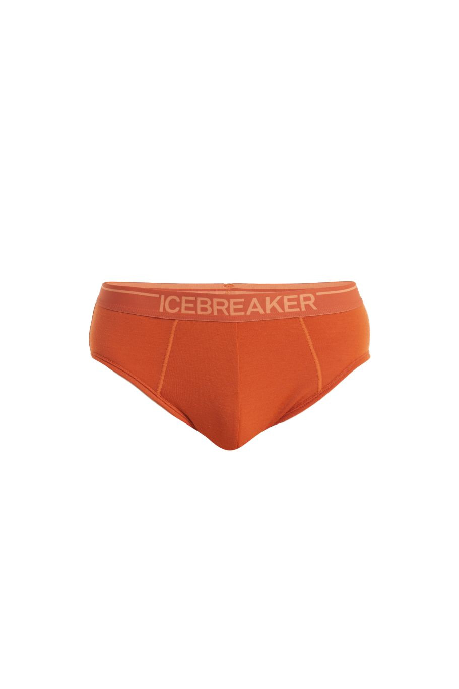 ICEBREAKER Mens Anatomica Briefs, Molten velikost: S
