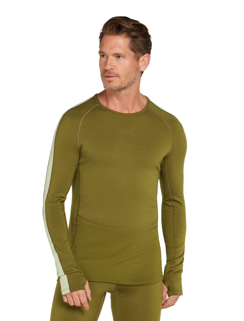 Pánské merino tričko s dlouhým rukávem ICEBREAKER Mens ZoneKnit 260 LS Crewe, Algae/Ashen velikost: L