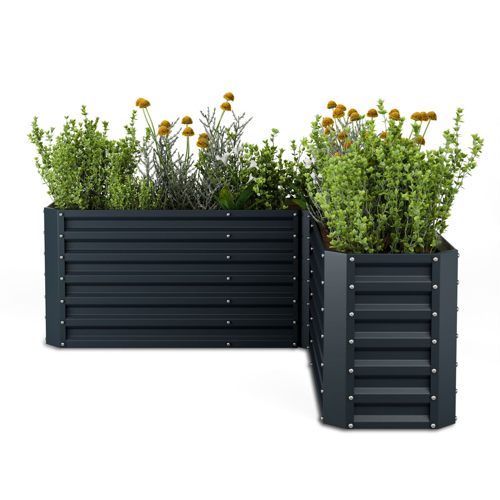 Blumfeldt High Grow ve tvaru L Antracitový