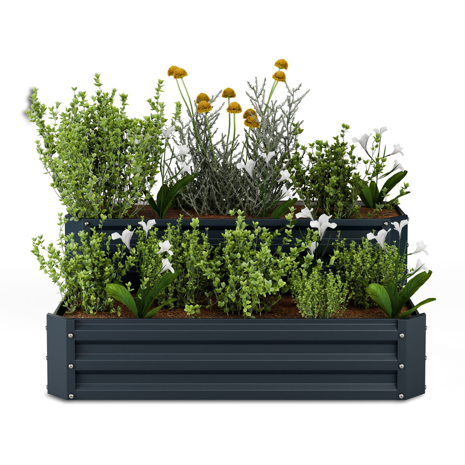 Blumfeldt High Grow dvě úrovně Antracitový