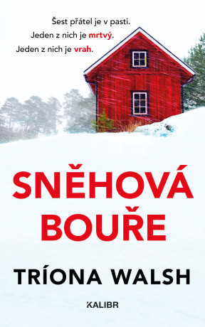 Sněhová bouře - Triona Walsh - e-kniha