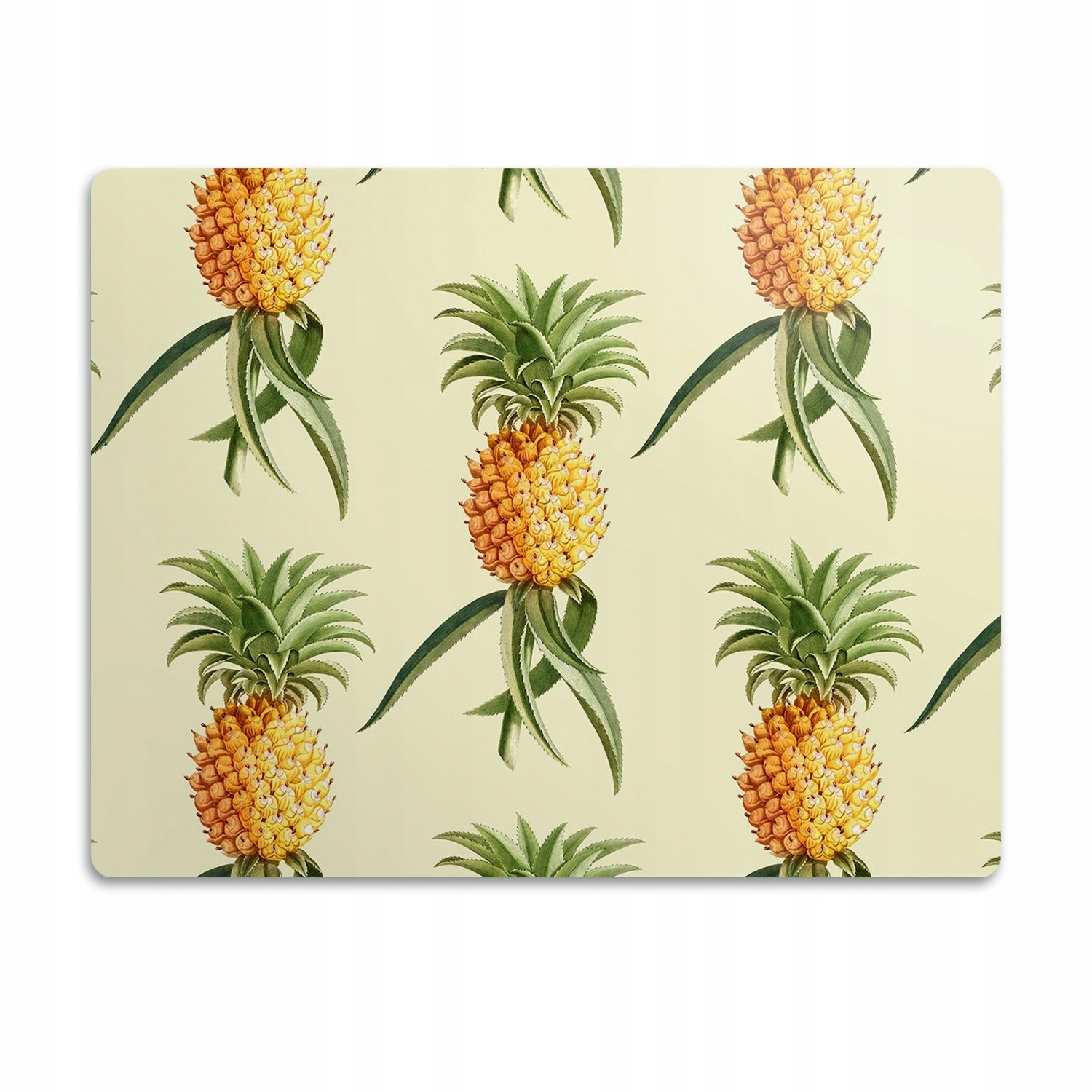 Podložka pod misku pro psa a kočku Ovoce ananas 60x40 cm