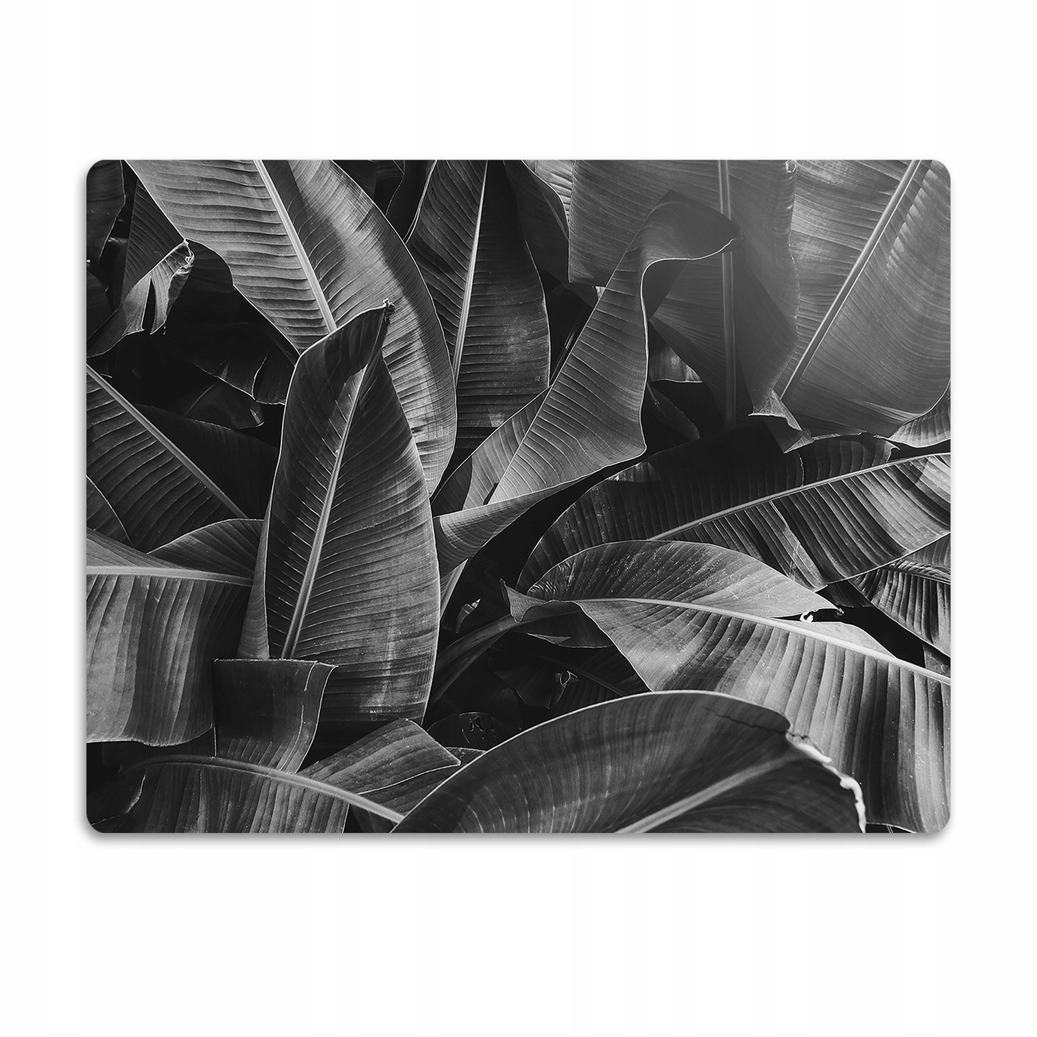 Pružná podložka pod misku Velké listy sépie 60x40