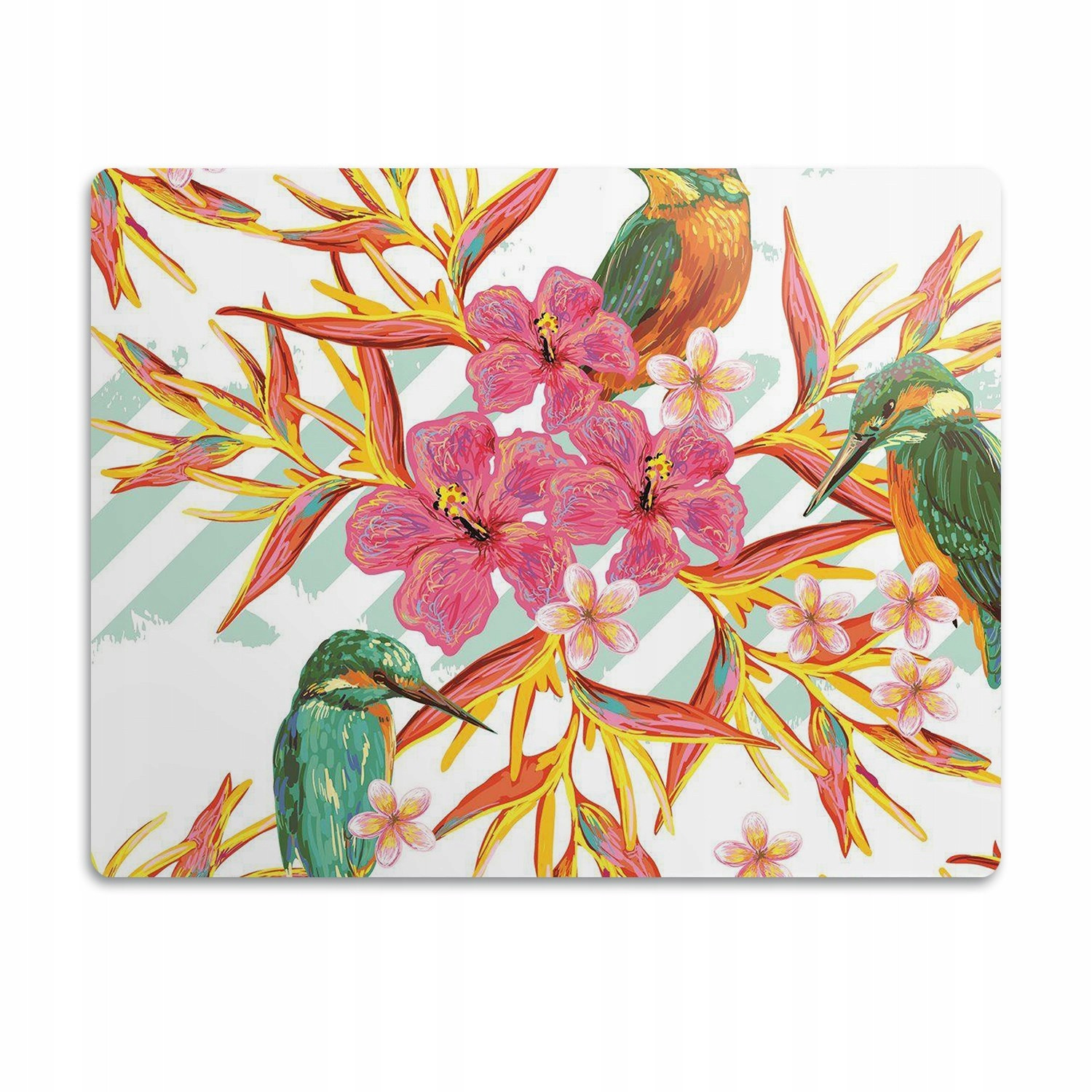 Ochranná podložka pro zvířata Malí ptáci 60x40cm