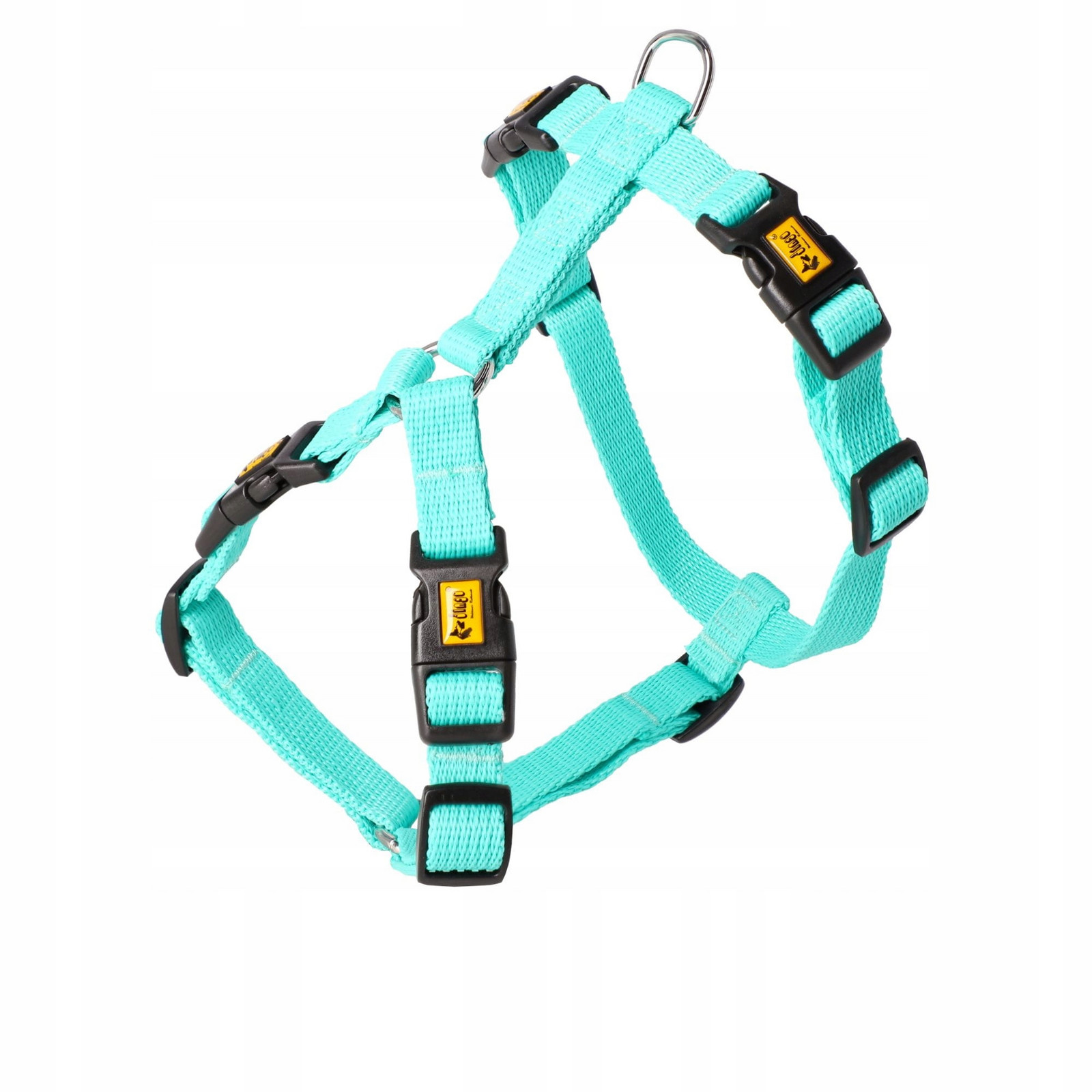 Dingo Postroj Guard Energy se zapínáním na čtyři M přezky mátový