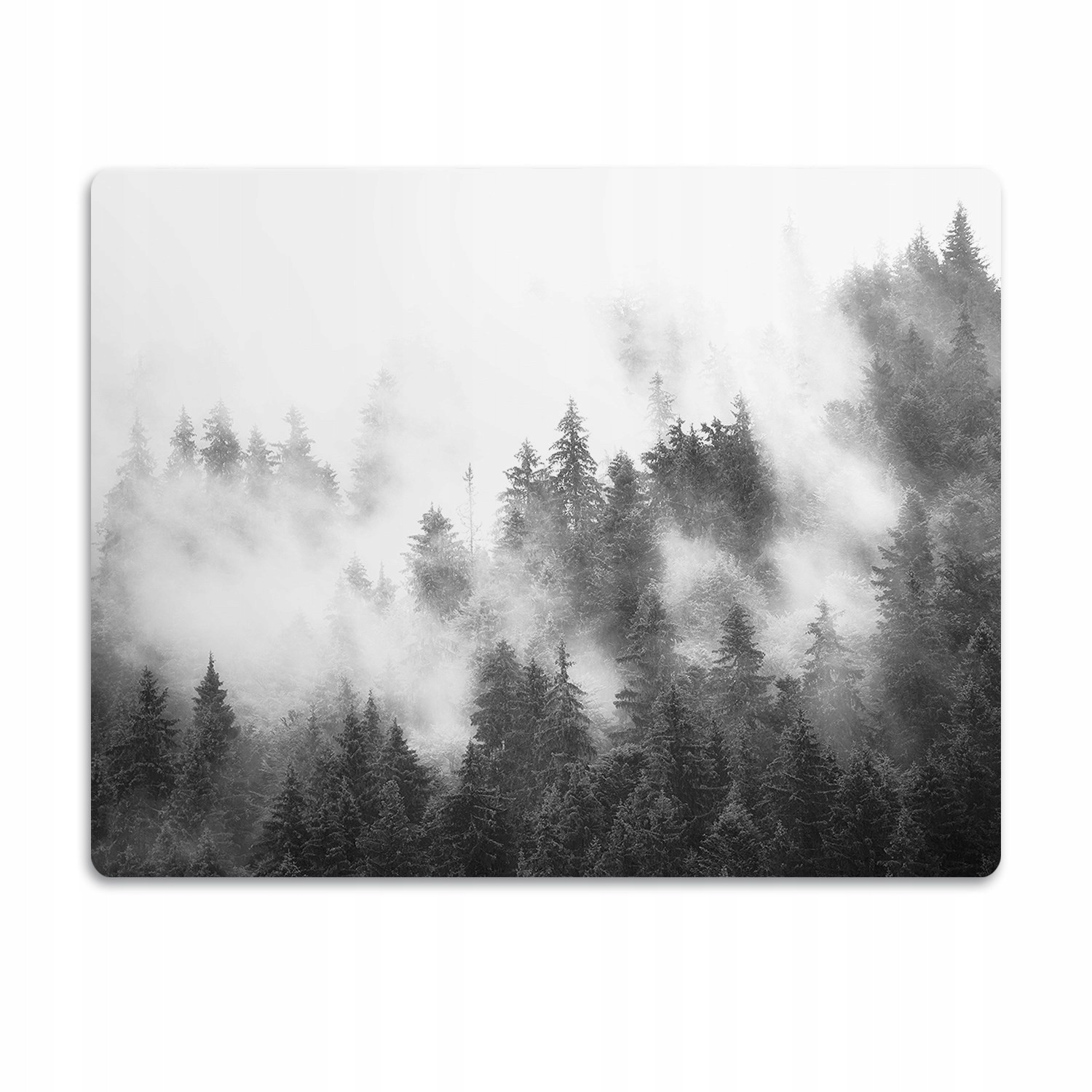 Pro kočky podložka pod záchod Mlžný les 60x40 cm