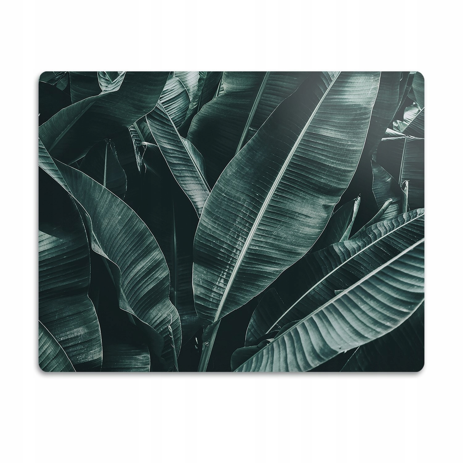 Podložka pod misku Exotické listy 60x40 cm