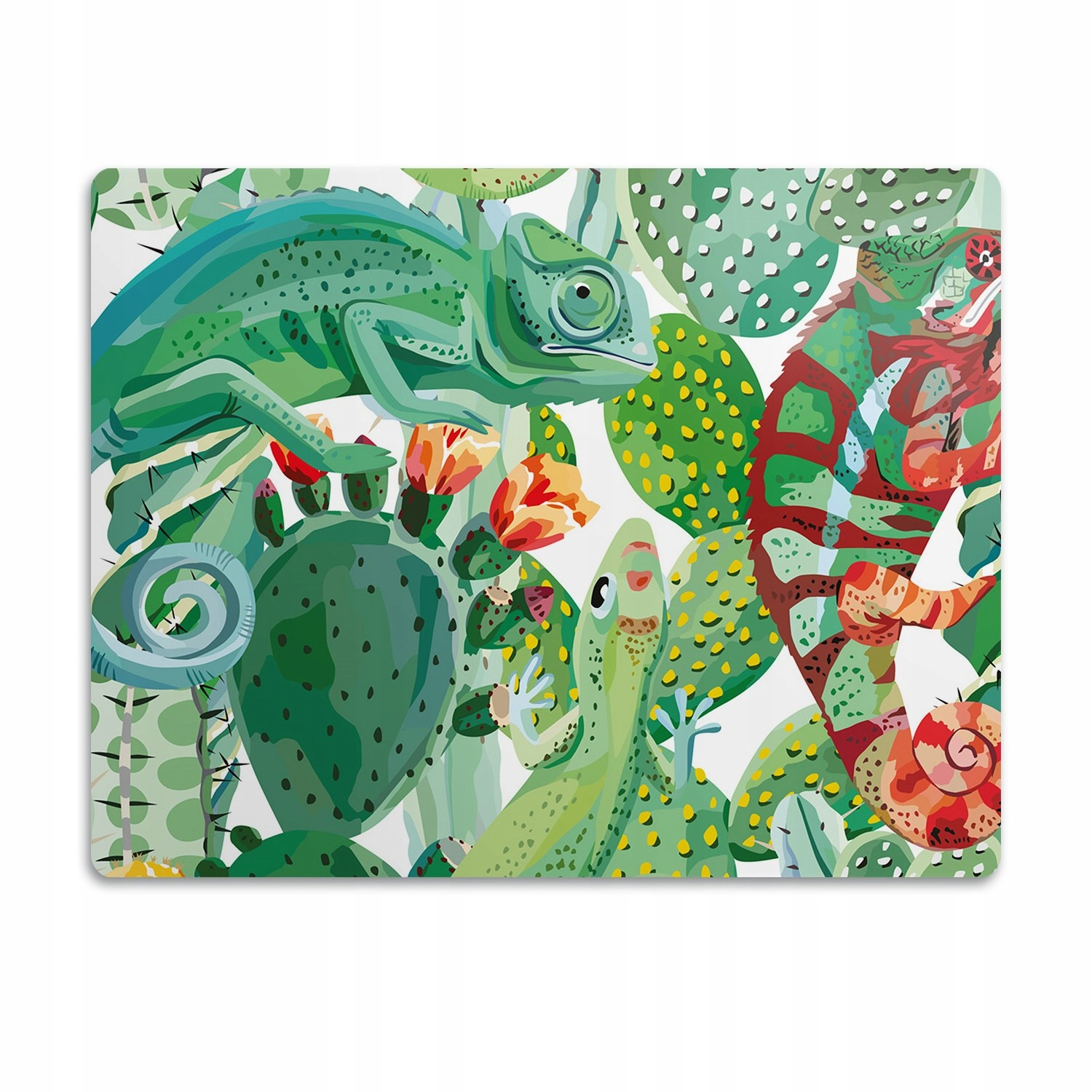 Pro psa ochranná podložka pod misku Chameleon 60x40 cm