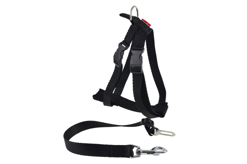 postroj pro psa do auta páska popruhy zapínání 60