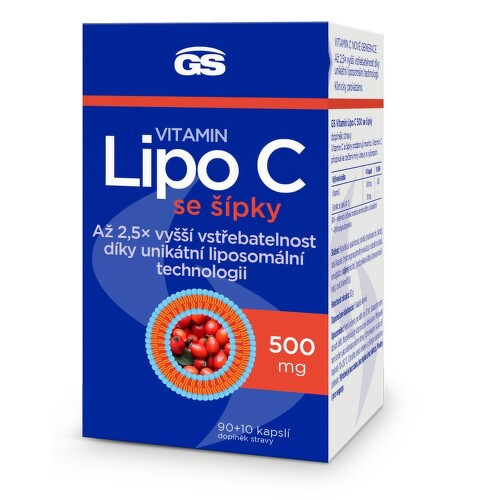 GS Vitamin Lipo C 500mg se šípky cps.90+10