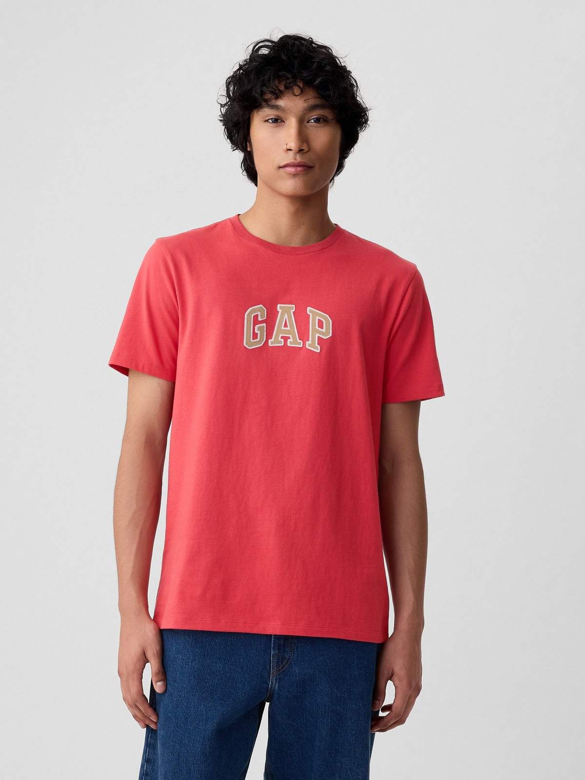GAP Tričko Intl New Arch T - Pánské