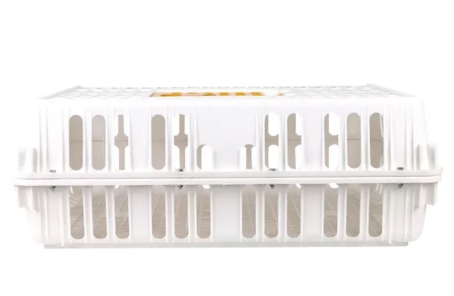 Transportní box pro drůbež, 74 x 54 x 26 cm