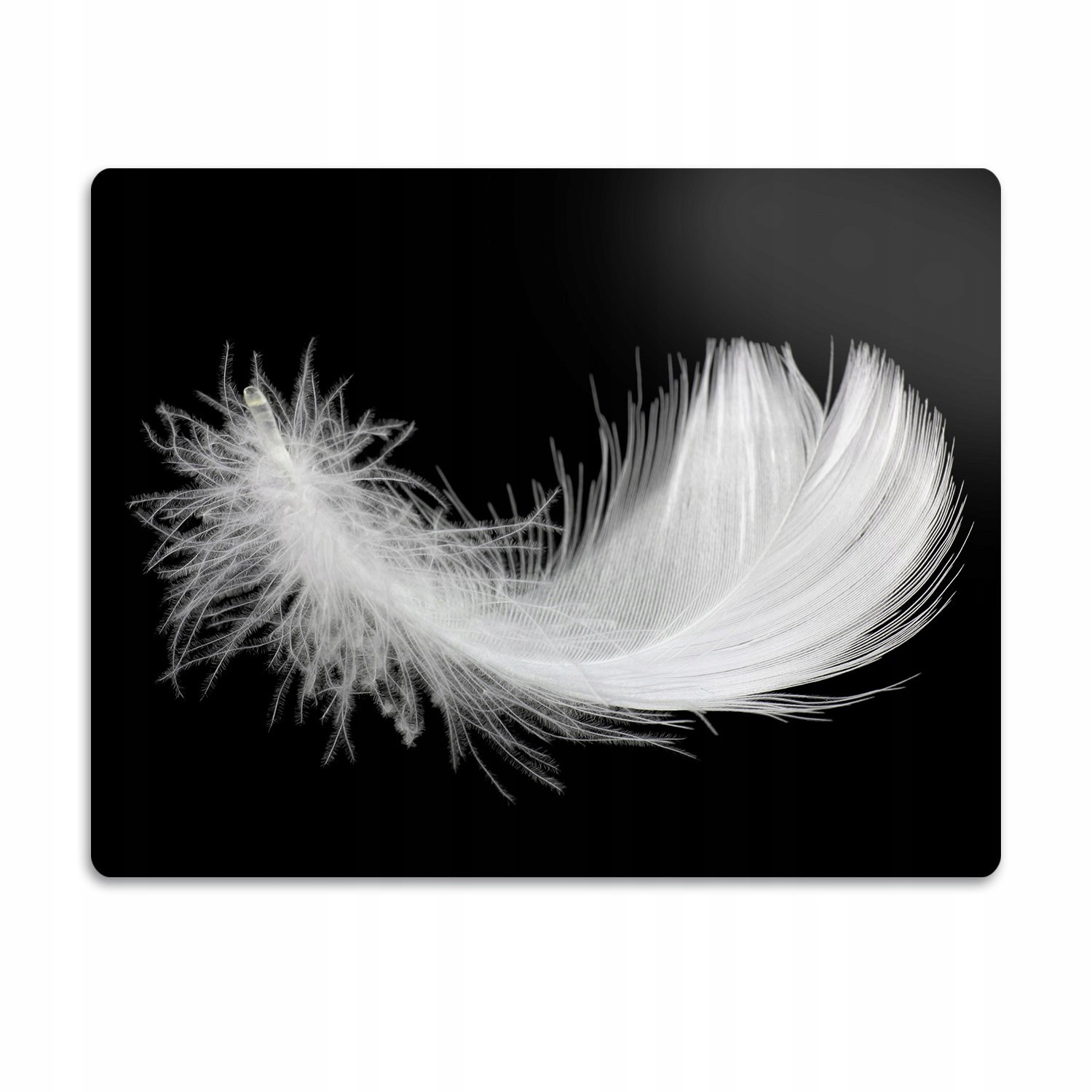 Pro kočky podložka pod záchod Bílé pero 60x40 cm