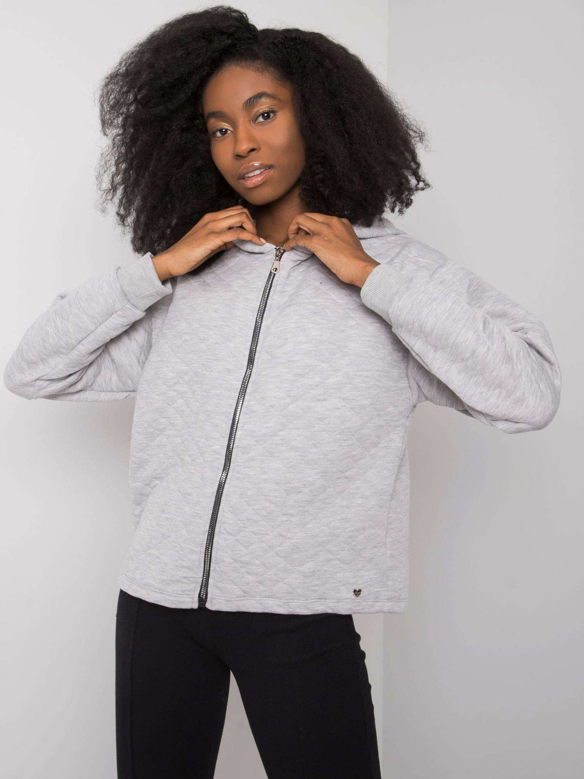 Sweatshirt-RV-BL-7449.66-gray