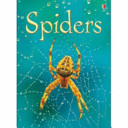 Spiders -  (Gilpin Rebecca)(Pevná vazba)