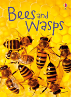 Bees and Wasps -  (Maclaine James)(Pevná vazba)