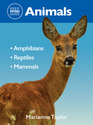 Reed Mini Guide: Animals - Amphibians l Reptiles l Mammals (Taylor Mariane)(Paperback / softback)