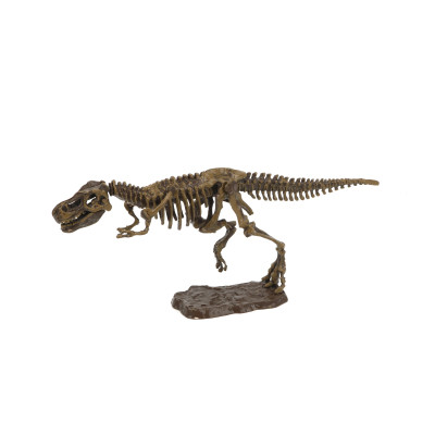 Archeologický set 3D Tyranosaurus