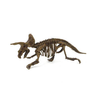 Archeologický set 3D Triceratops