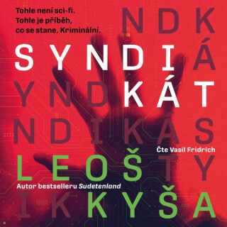 Syndikát - František Kotleta, Leoš Kyša - audiokniha