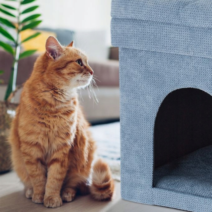 Stolička Cat Cave v šedé barvě E30