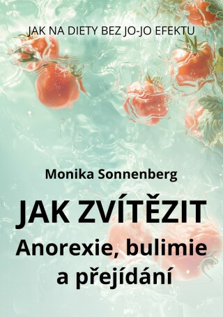 Jak zvítězit - Monika Sonnenberg - e-kniha