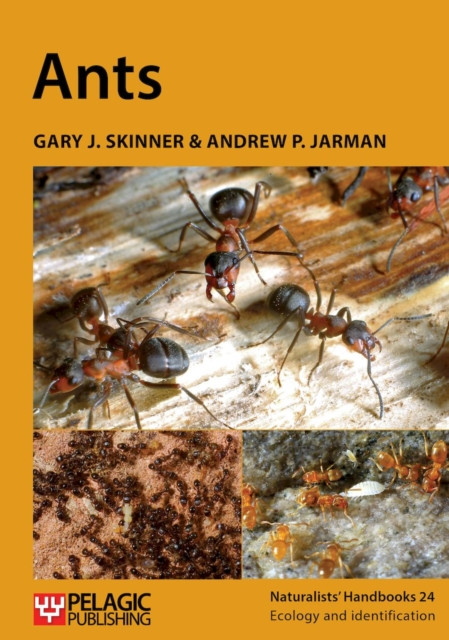 Ants -  (Skinner Gary J.)(Paperback)