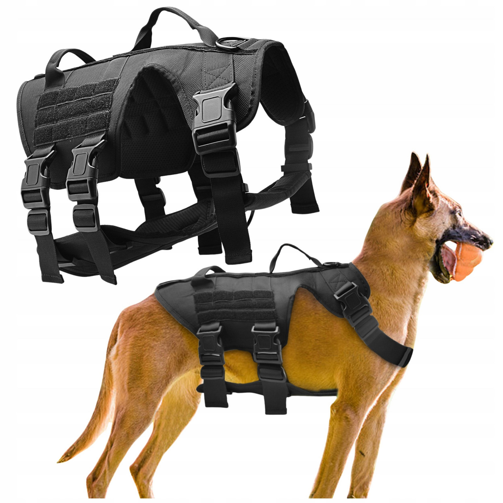 Postroj pro velkého psa typu doga ovčáka beztlakový s uchy pevný r. L