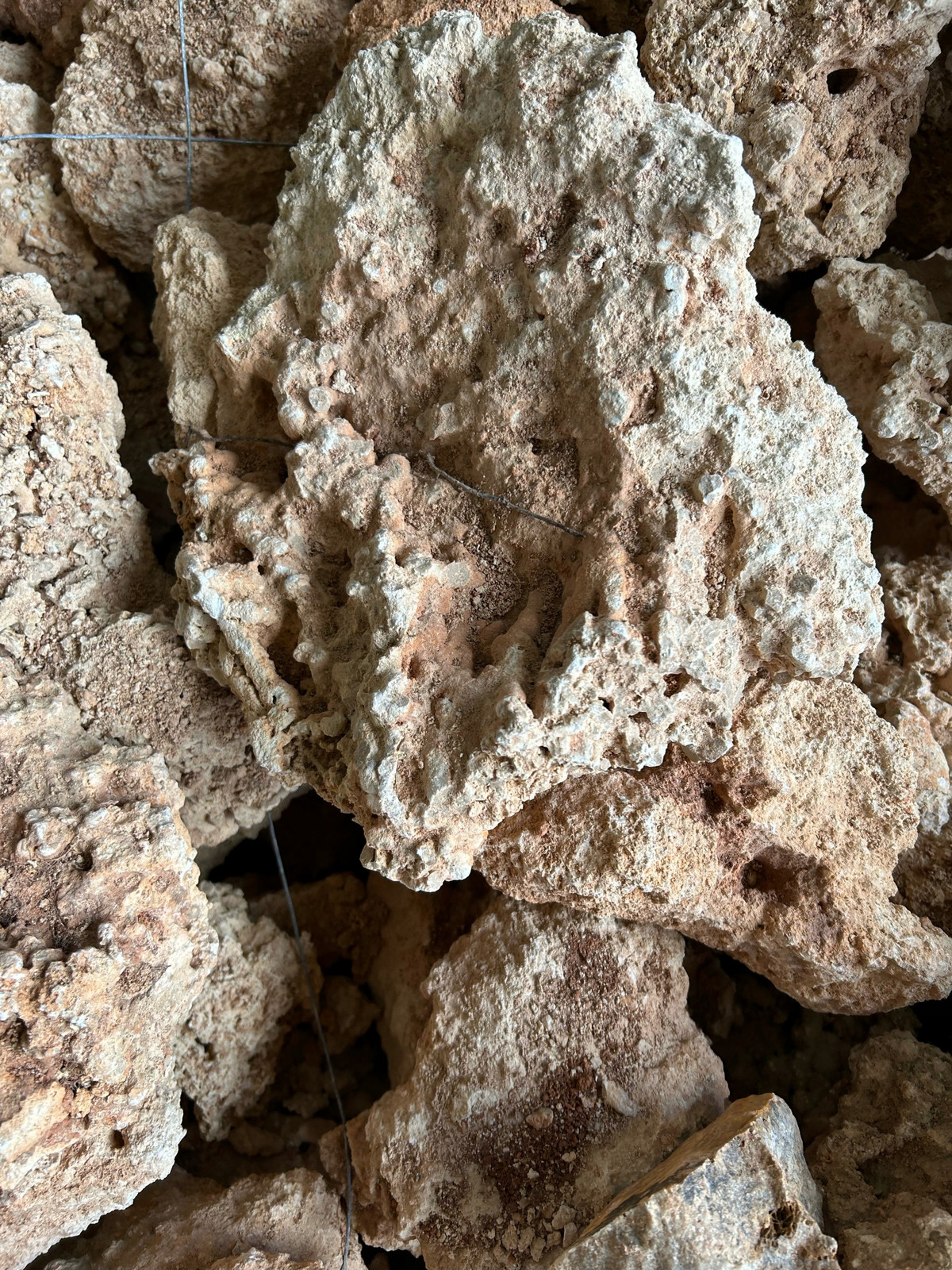 10kg Mořská vápencová hornina pro mořské akvárium biotopu malavie Akce