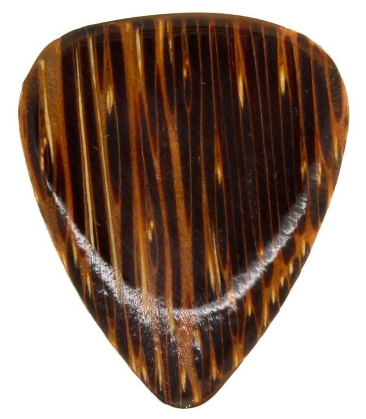 Timber Tones Coconut Palm