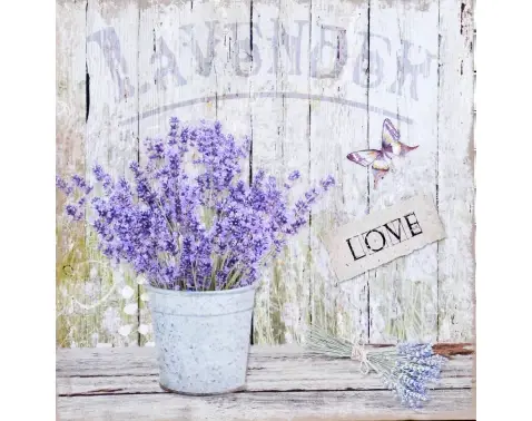 Obraz na plátně Levandule zátiší Love, 40x40 cm