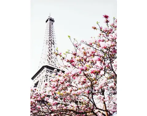Obraz na plátně Jaro v Paříži, 50x70 cm