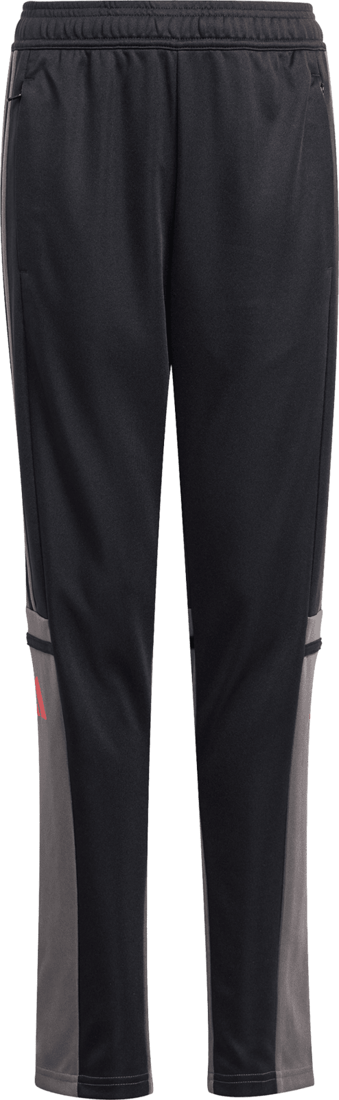 Kalhoty adidas SQ25 TR PNT Y