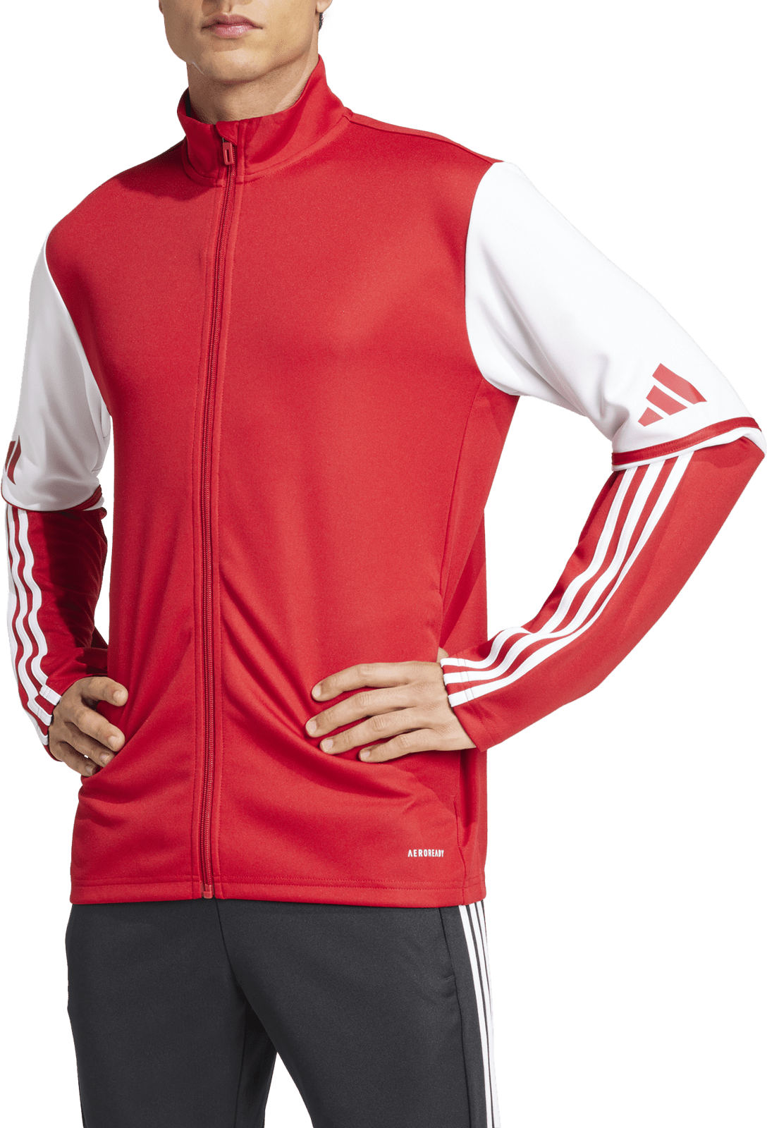 Bunda adidas SQ25 TR JKT