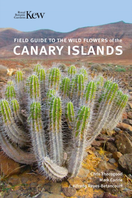 Field Guide to the Wild Flowers of the Canary Islands -  (Thorogood Chris)(Paperback)