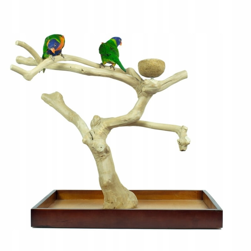 Java stromek pro papoušky vel. M střední