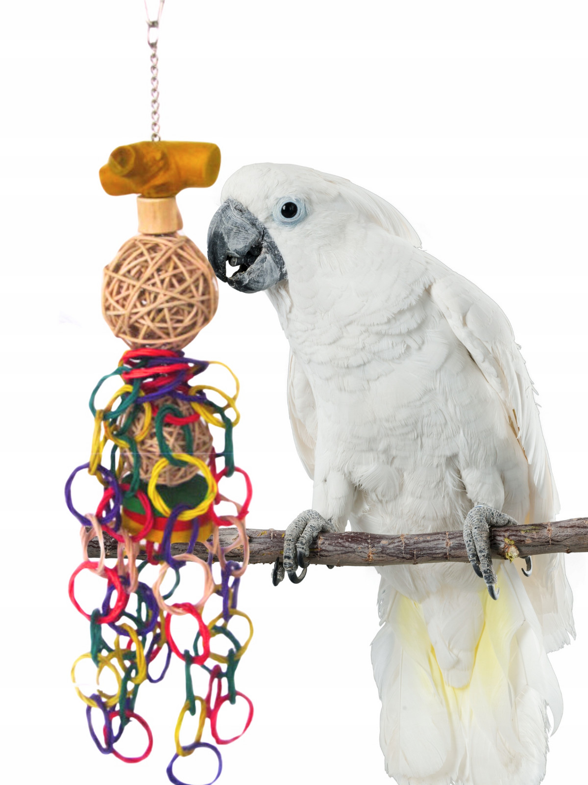 Java Fiesta Přírodní zábava pro papoušky 50 cm