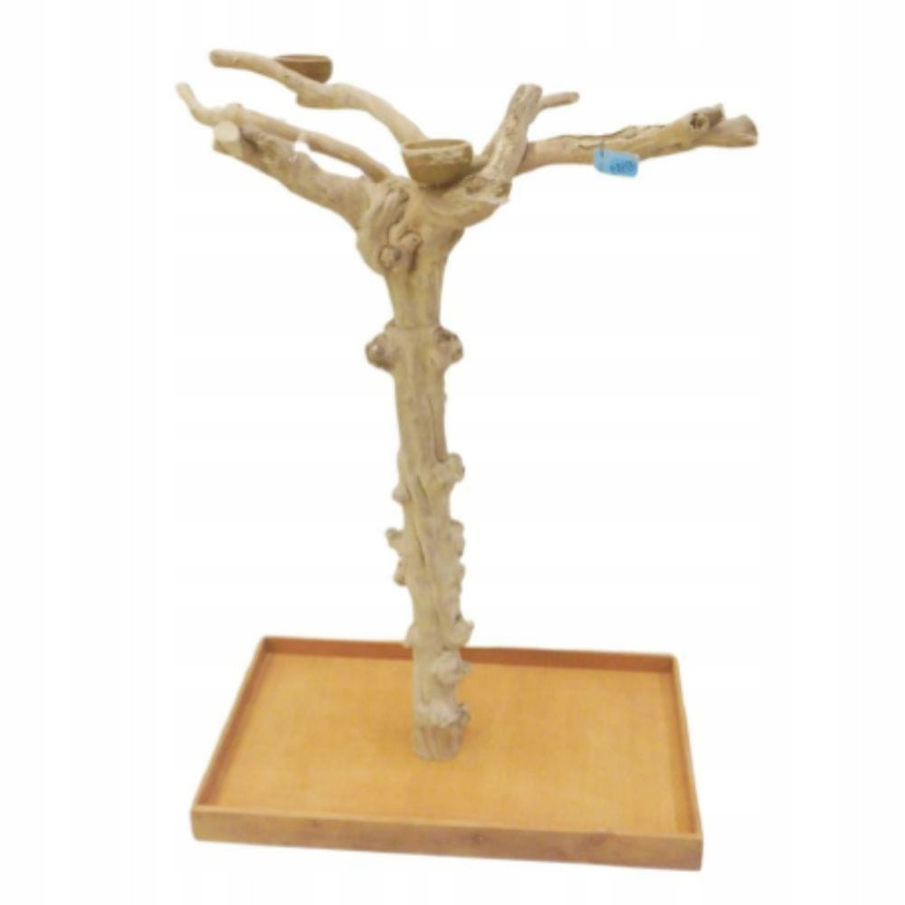 Strom Java Vysoký (bl) velikost XL rozměry stromku cca.150x100x60 cm