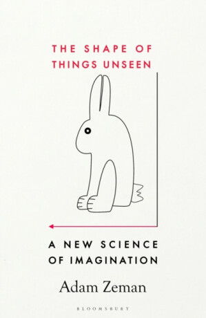 The Shape of Things Unseen - Adam Zeman