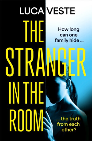 The Stranger in the Room - Luca Veste
