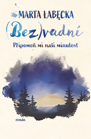 (Bez)vadní 2 – Připomeň mi naši minulost - e-kniha