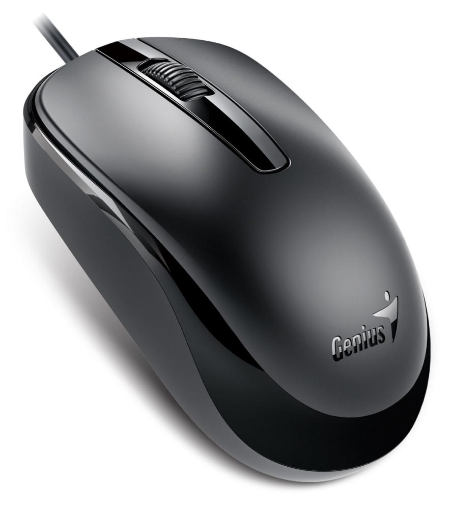 GENIUS DX-120/ drátová/ 1200 dpi/ USB-C/ černá, 31010029401