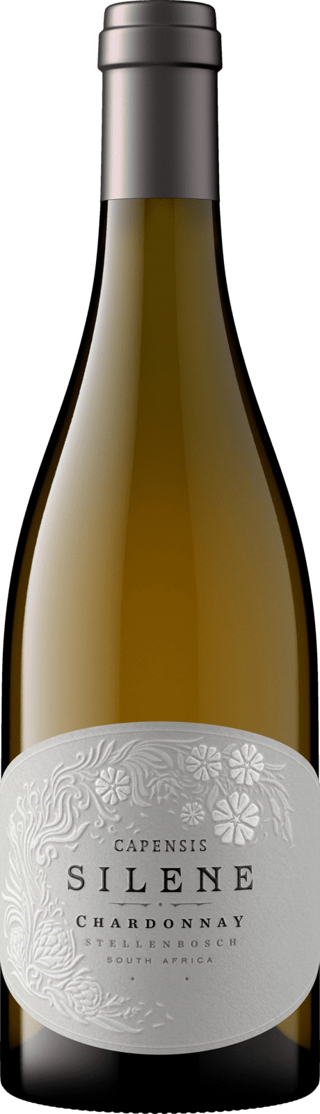 Capensis Silene Chardonnay 2020